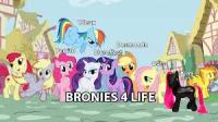 bronies.jpg