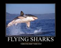 Flying_Shark.jpg