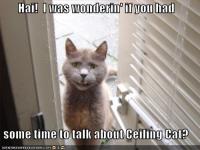 funny_pictures_cat_door_talk_ceiling_cat.jpg