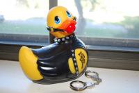 duck.jpg