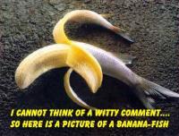 Banana_Fish.gif